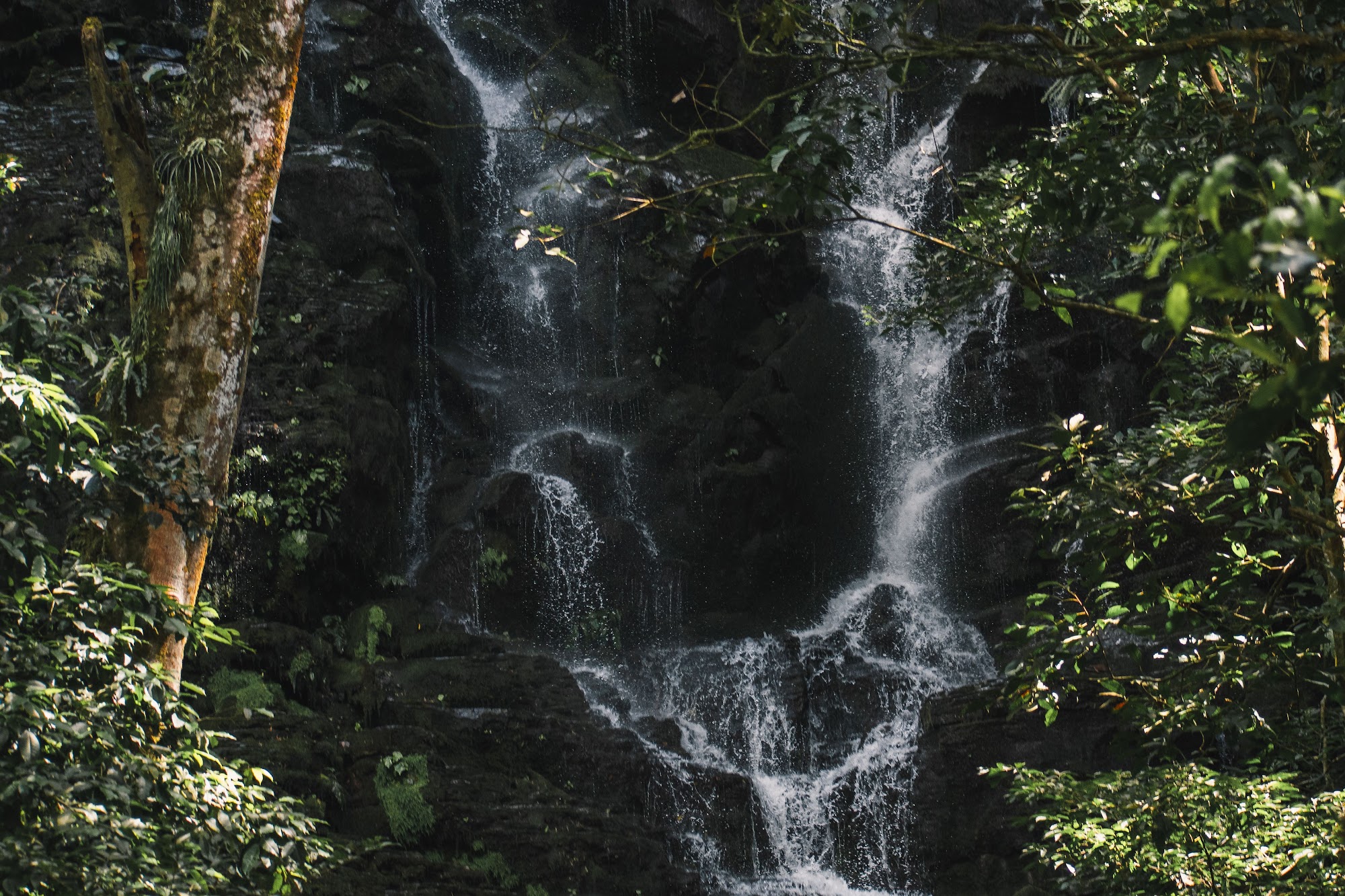 A jungle waterfall threading over dark mossy rock