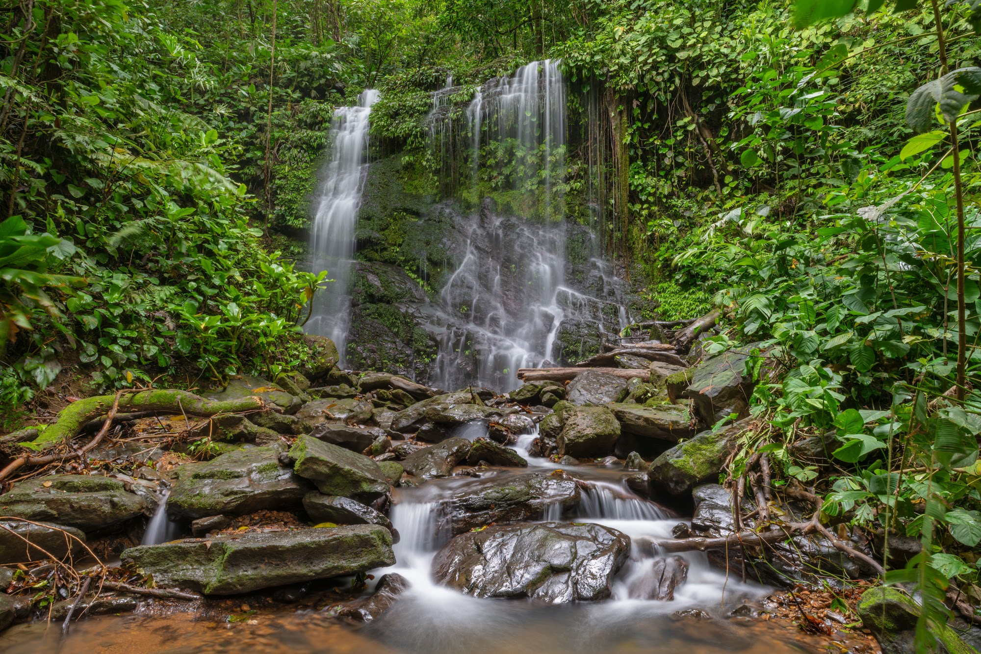 A waterfall flowing through dense Costa Rican rainforest.