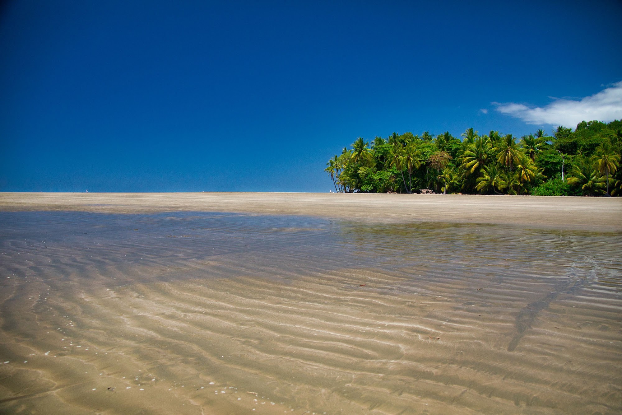 A wide tropical beach and calm tidal water in Costa Rica.
